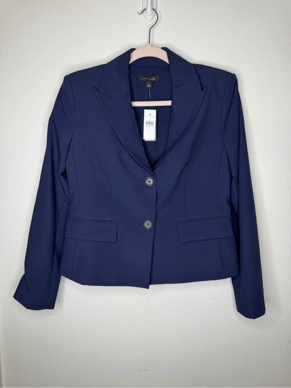 Ann Taylor Navy Suit and Matching Dress Pants
